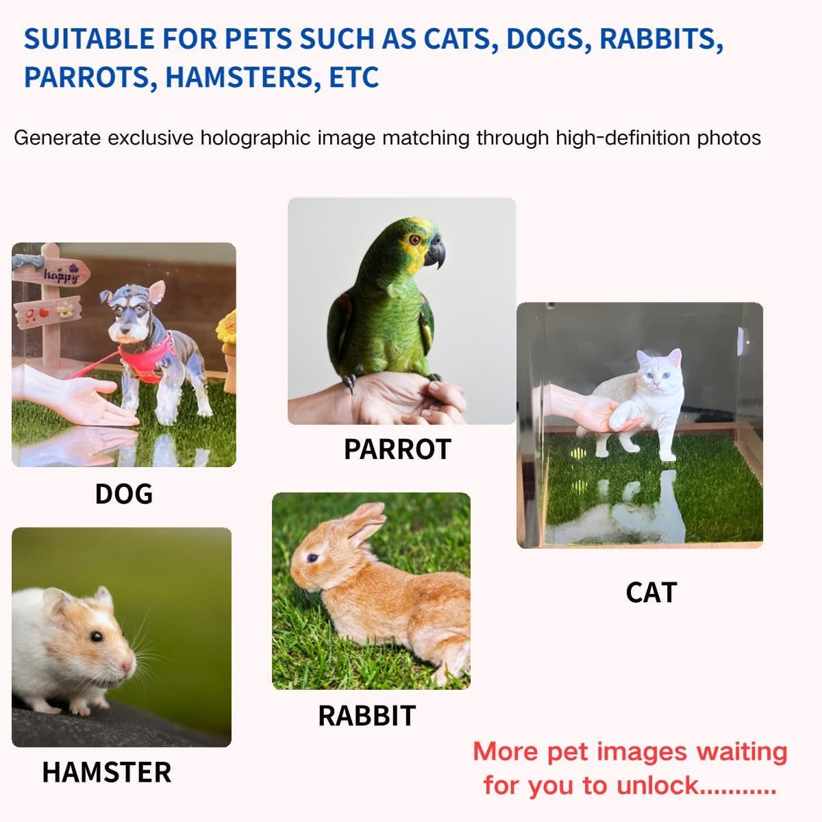 Personalized 3D Holographic Pet Memorial Box, Custom Dog or Cat Memorial Gift with Name - Hologram Video Keepsake for Pet Loss Sympathy, Desktop Ornament for Pet Lovers