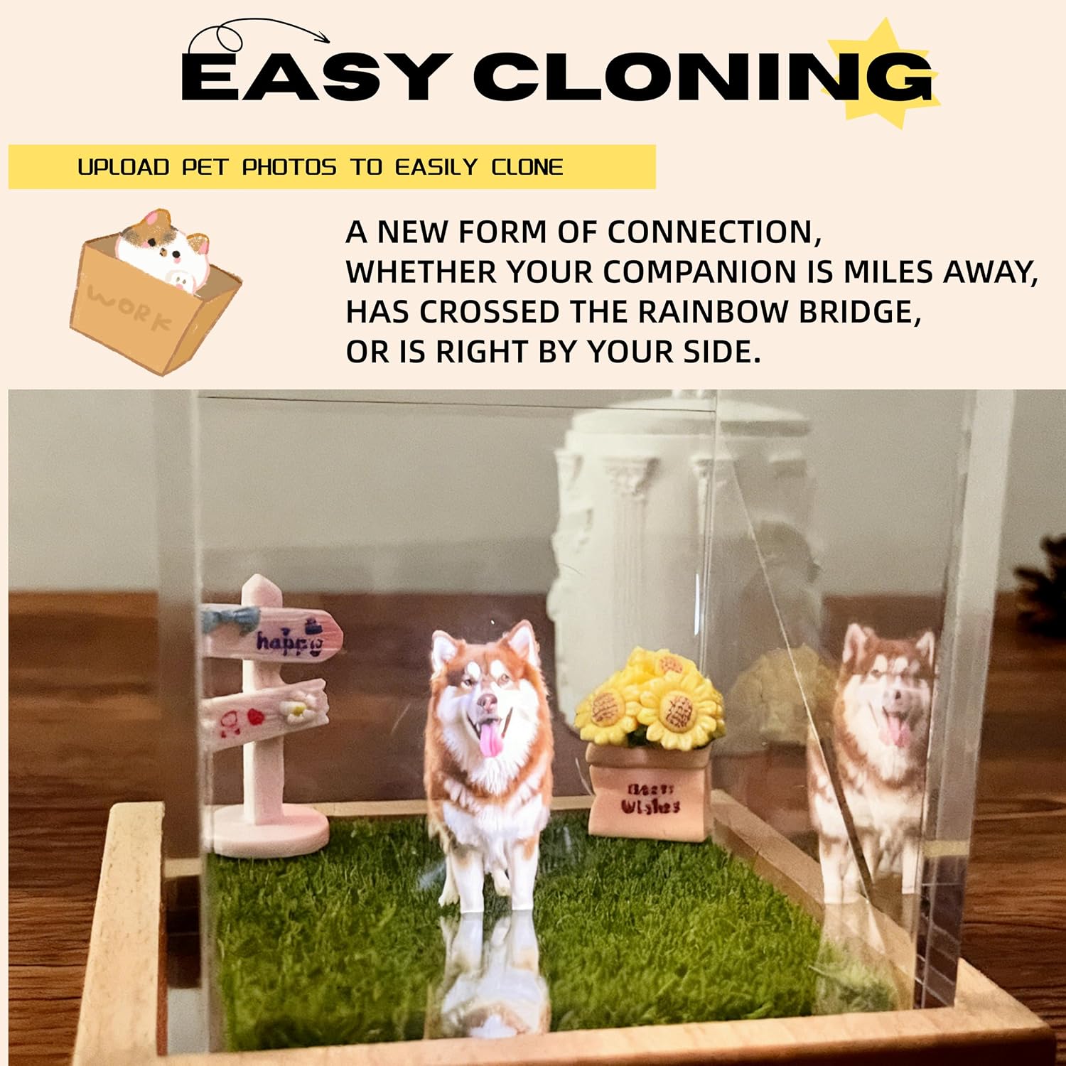 Personalized 3D Holographic Pet Memorial Box, Custom Dog or Cat Memorial Gift with Name - Hologram Video Keepsake for Pet Loss Sympathy, Desktop Ornament for Pet Lovers