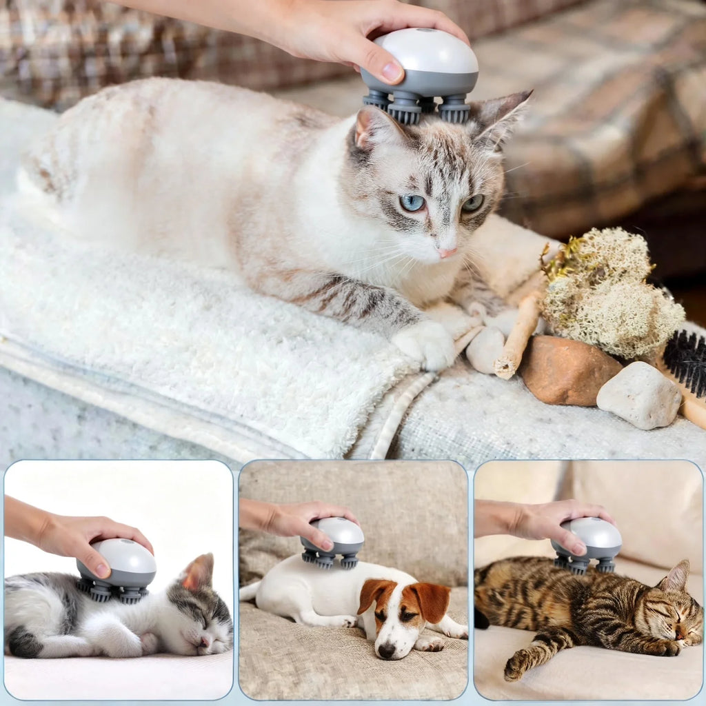 AFP Portable Handheld Pet Scalp Massager With 4 Massage Heads Stress Relief Cordless Waterproof Massage Clean Tool For Dogs Cats