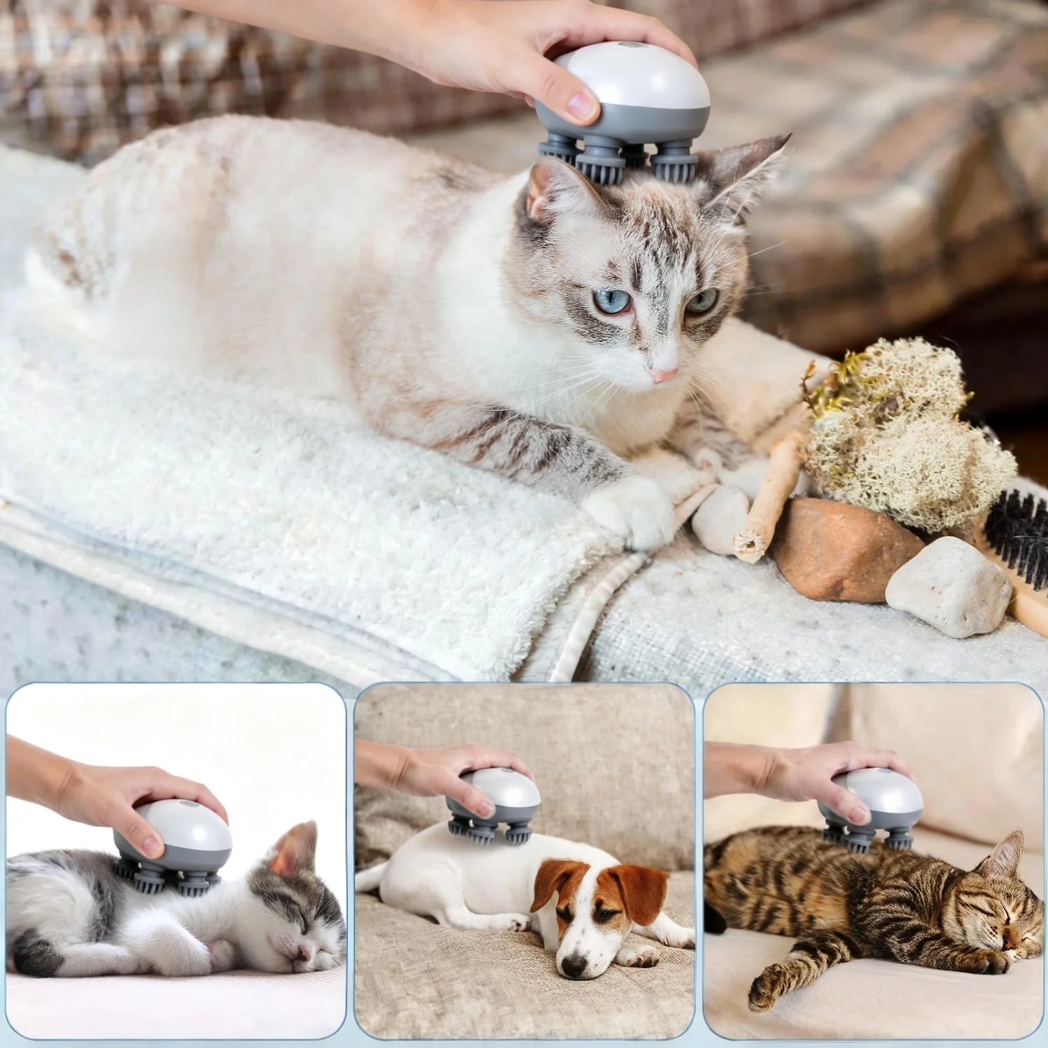 AFP Portable Handheld Pet Scalp Massager With 4 Massage Heads Stress Relief Cordless Waterproof Massage Clean Tool For Dogs Cats