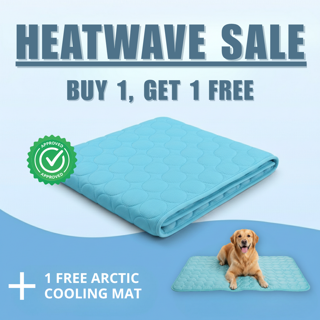 Cooling Dog Mat