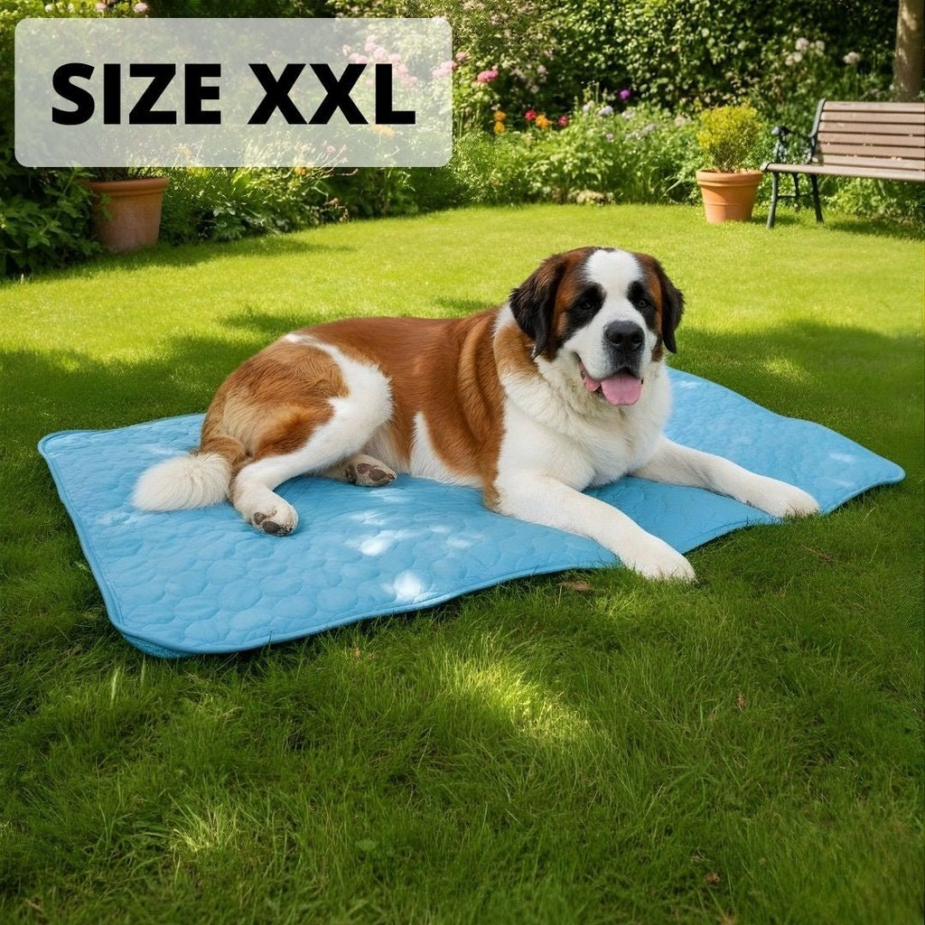 Cooling Dog Mat